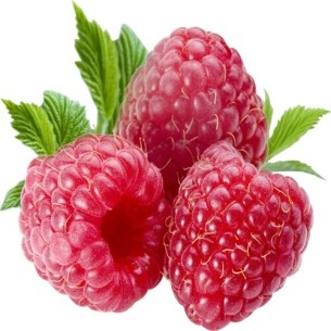 EkaMedica 100% Raspberry Juice NFC Pasteurized 0.5l EkaMedica 100% Raspberry Juice NFC Pasteurized 0.5l