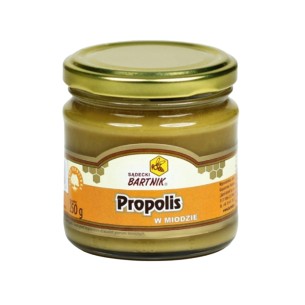 SADECKI BARTNIK PROPOLIS IN HONEY 250G SADECKI BARTNIK PROPOLIS IN HONEY 250G