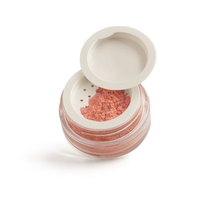 PAESE MINERALS Mineral blush 301N DUSTY ROSE