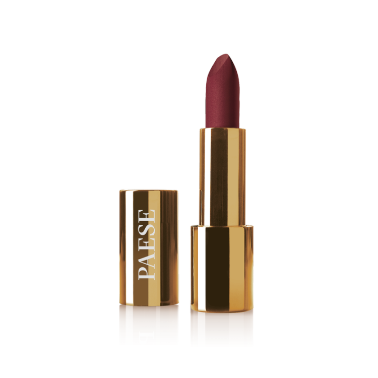 PAESE Mattologie matte lipstick, 106 WINE WAVE, 4,3g