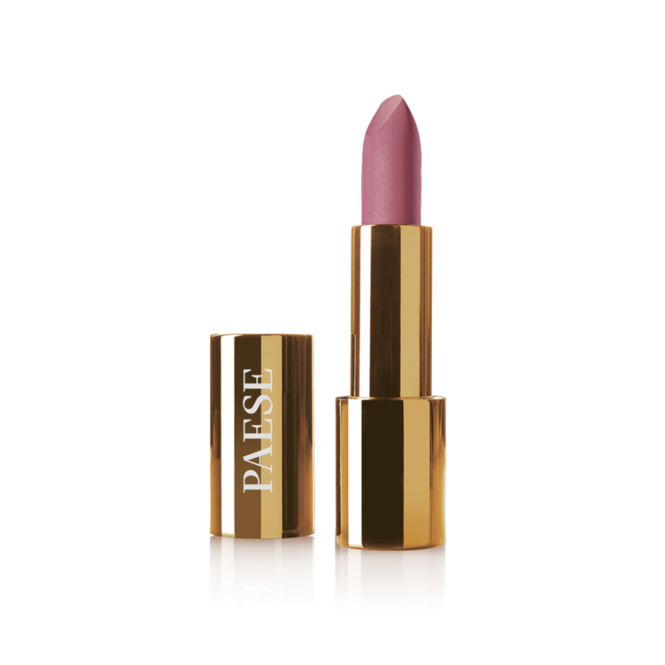 PAESE Mattologie matte lipstick, 107 NO MAKE UP NUDE, 4,3g