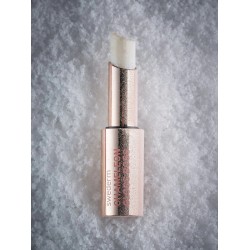 SWEDERM CHAMELEON GLOSS BOSS Lip balm 3g SWEDERM CHAMELEON GLOSS BOSS Lip balm 3g